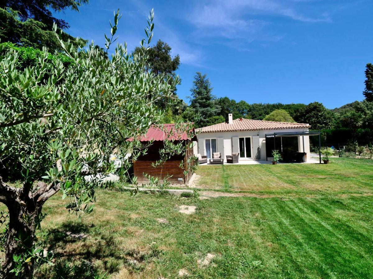 Les Yuccas -Maison Neuve Avec Un Jardin A Saint Paul De Vence Eksteriør billede